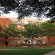 法学大学 法学大学