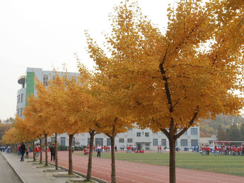 北辛中学体育场 北辛中学体育场