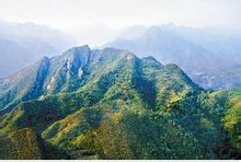 浙江九龙山国家森林公园 浙江九龙山国家森林公园