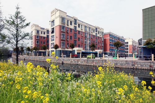 凤凰村(浙江省杭州市萧山区衙前镇凤凰村) 凤凰村(浙江省杭州市萧山区衙前镇凤凰村)