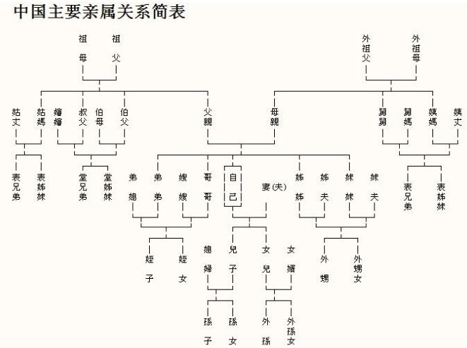 亲属关係 亲属关係