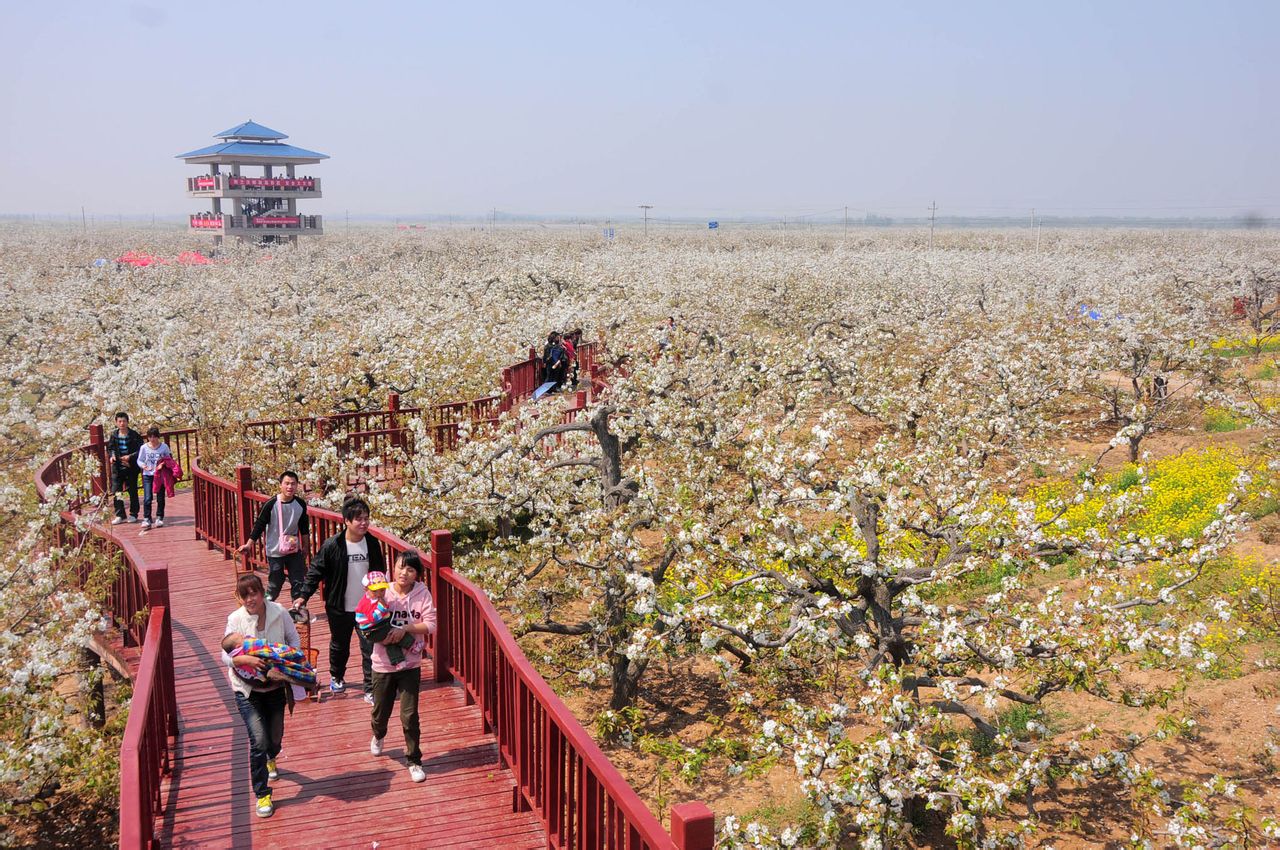冠莘旅游区 冠莘旅游区