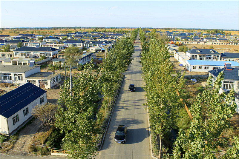 大洼镇(辽宁盘锦市大洼区下辖镇) 大洼镇(辽宁盘锦市大洼区下辖镇)