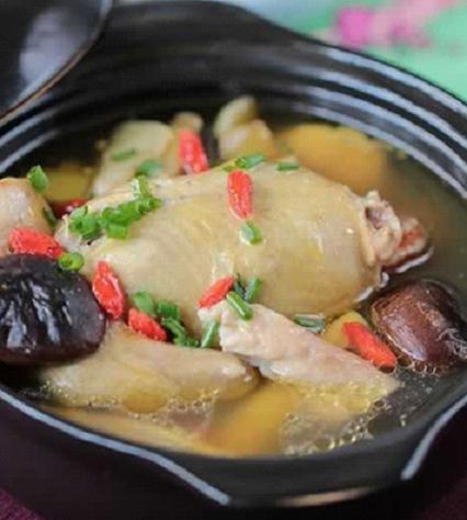 枸杞炖鸽子 枸杞炖鸽子