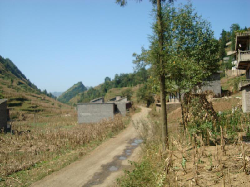 进村公路 进村公路