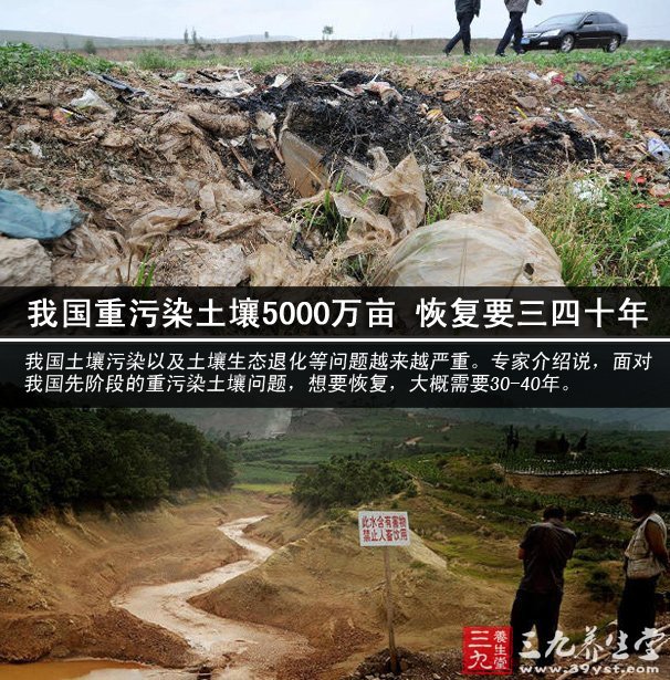 土壤污染 土壤污染