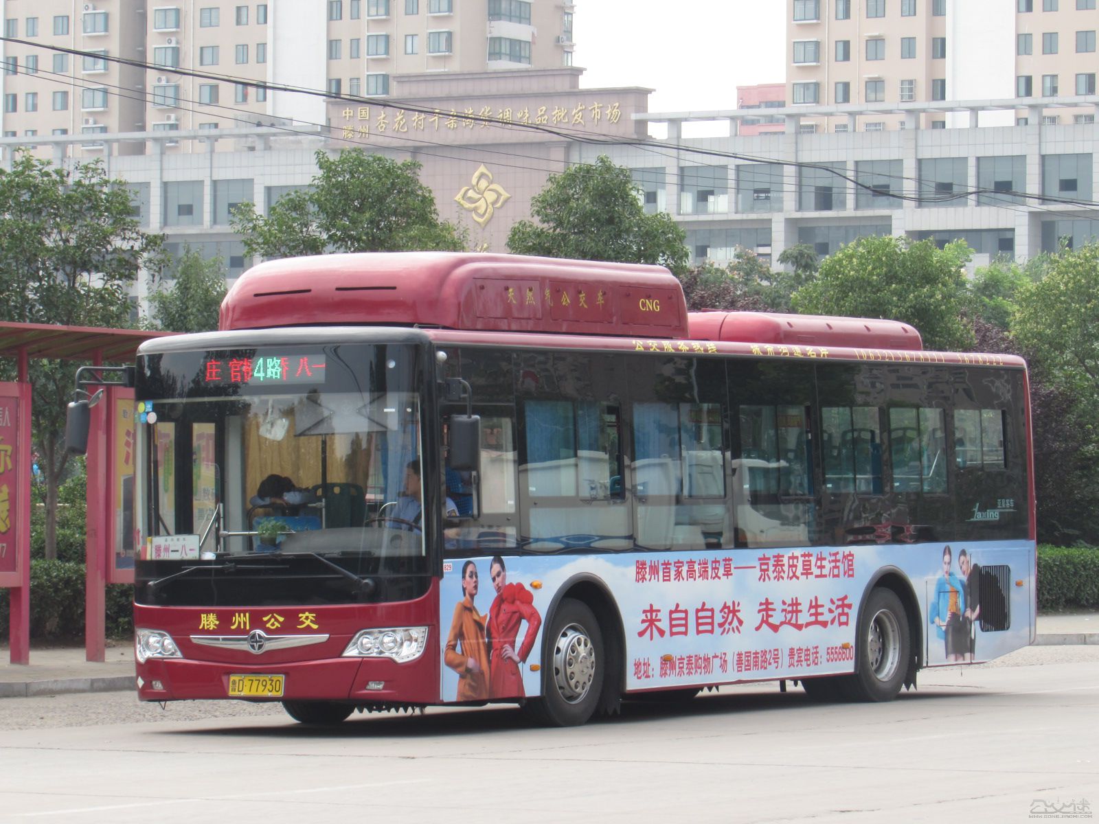 滕州公交 滕州公交