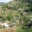 岩上自然村(云南省威信县麟凤乡坪房村岩上自然村) 岩上自然村(云南省威信县麟凤乡坪房村岩上自然村)