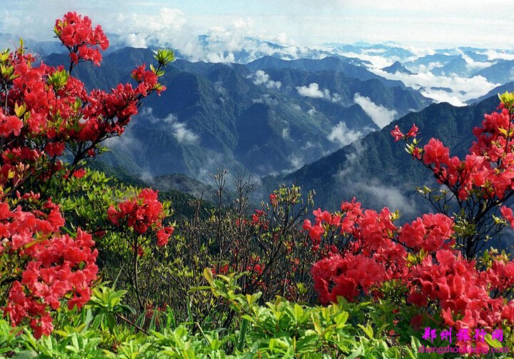 龙泉山(山东省沂水县龙泉山) 龙泉山(山东省沂水县龙泉山)