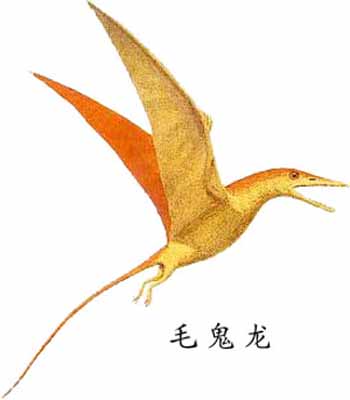翼龙 翼龙