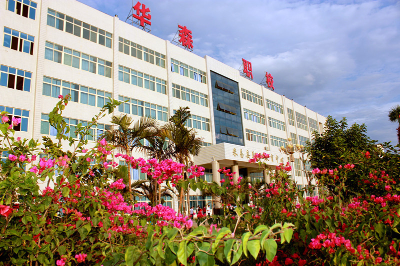 华森职业学校 华森职业学校
