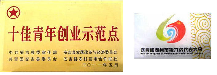 企业荣誉 企业荣誉