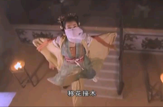 移花接木(电视剧《小鱼儿与花无缺》中的武功) 移花接木(电视剧《小鱼儿与花无缺》中的武功)