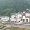 朱元村 朱元村