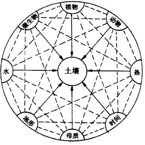 土壤生成 土壤生成