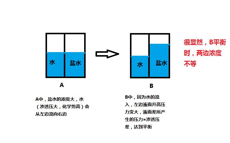 高渗透压作用 高渗透压作用