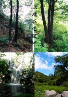 门头沟玫瑰谷 门头沟玫瑰谷