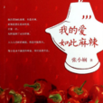 我的爱如此麻辣(小说) 我的爱如此麻辣(小说)