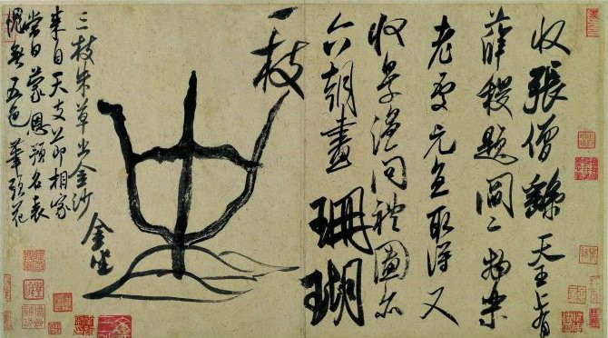 珊瑚贴 珊瑚贴