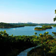 松山湖 松山湖
