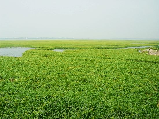 望江县武昌湖风景 望江县武昌湖风景