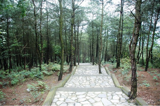 玉峰山森林公园 玉峰山森林公园