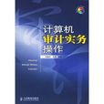 IT审计实务 IT审计实务