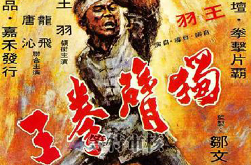 独臂拳王 独臂拳王