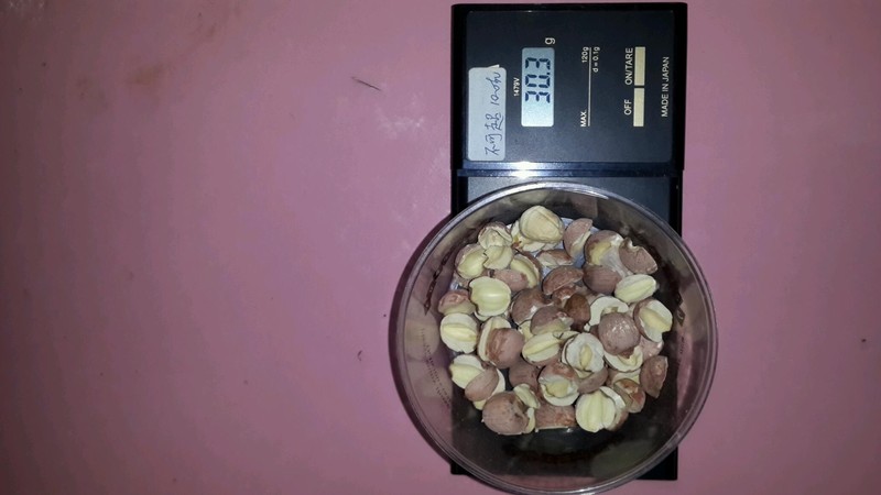 健脾五穀杂粮粥