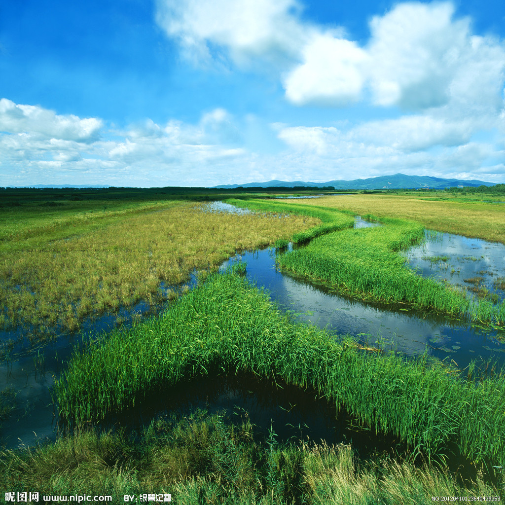 三江平原湿地 三江平原湿地