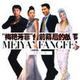 梅艳芳菲台前幕后的故事 梅艳芳菲台前幕后的故事