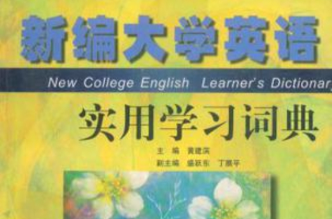新编大学英语实用学习词典 新编大学英语实用学习词典
