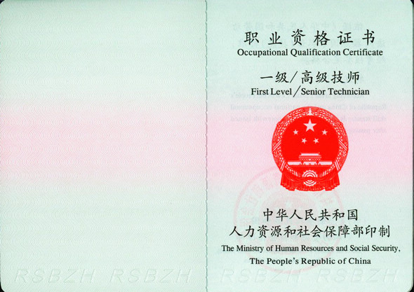 高级职业指导师 高级职业指导师