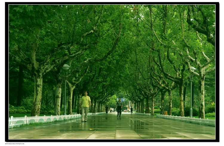 王陵路 王陵路
