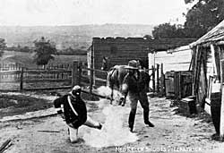 《凯利帮传奇》(1906) 《凯利帮传奇》(1906)