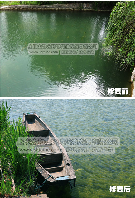 上海太和水环境科技发展有限公司 上海太和水环境科技发展有限公司