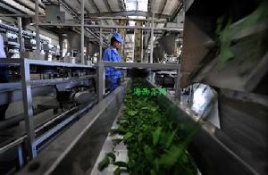 翠华茶 翠华茶