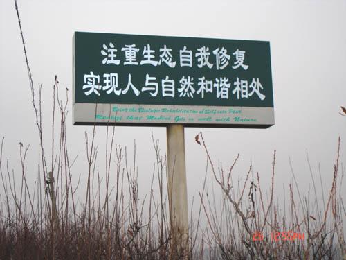 生态恢复 生态恢复