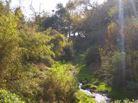八大关 八大关