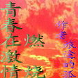 让青春激情燃烧的岁月