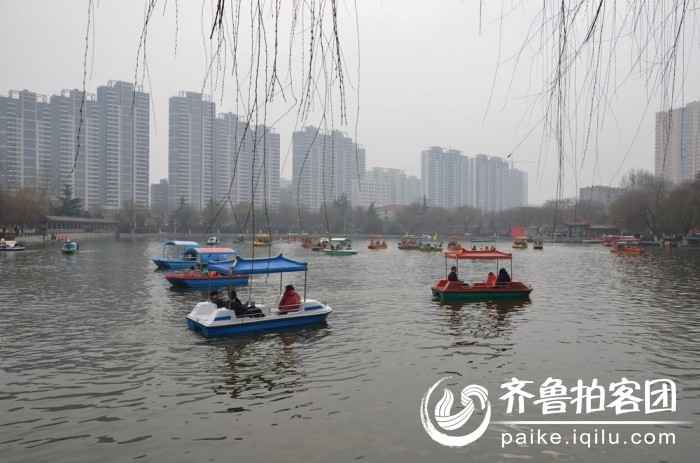 荆河街道办事处 荆河街道办事处