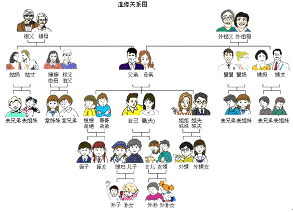 血缘关係(由婚姻或生育而产生的人际关係) 血缘关係(由婚姻或生育而产生的人际关係)
