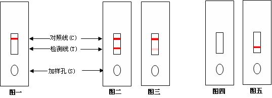 瘦肉精检测试剂 瘦肉精检测试剂
