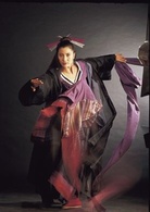 新流星蝴蝶剑(1993年麦当杰执导电影)