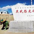 灵武恐龙化石遗址 灵武恐龙化石遗址