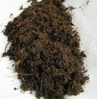 草炭 草炭