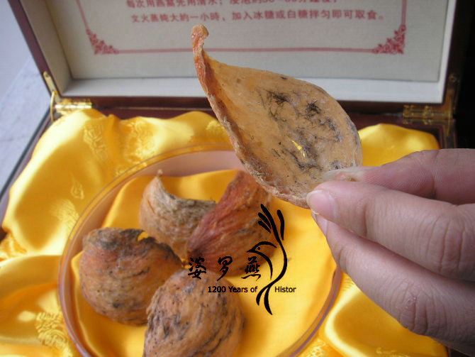 天然血燕 天然血燕