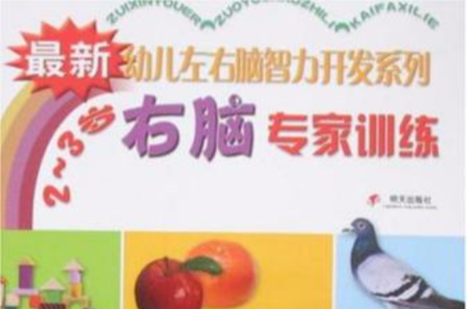 右脑专家训练 右脑专家训练