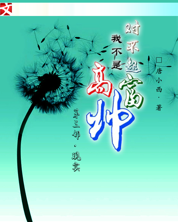 对不起我不是高富帅 对不起我不是高富帅
