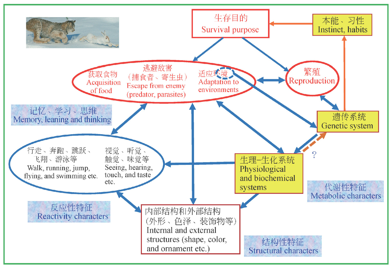 生命的目的与生命系统的适应与相互作用 生命的目的与生命系统的适应与相互作用